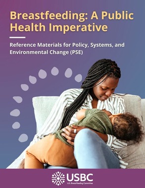 The cover of a breastfeeding resource document titled A Public Health Imperative showing a mother breastfeeding her child. 