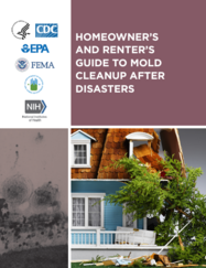 Homeowners and Renters Guide to Mold Cleanup After Disasters