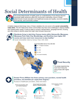 Social Determinants of Health Infographic