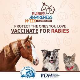 Rabies Awareness Week Sept. 22-28, 2025. Protect the ones you love. Vaccinate for Rabies. Pictures of horse, dog, and cat.