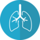 Icon of a pair of lungs.