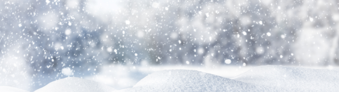 This image is decorative.