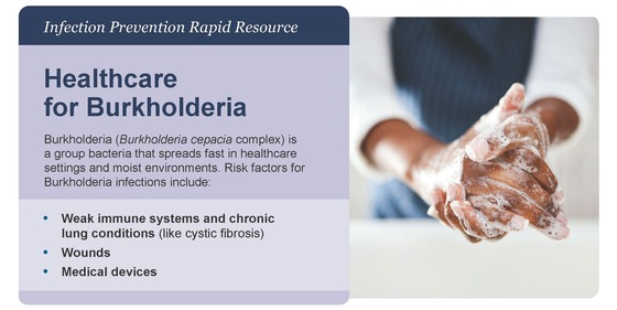 Infection prevention rapid resource: Healthcare for Burkholderia
