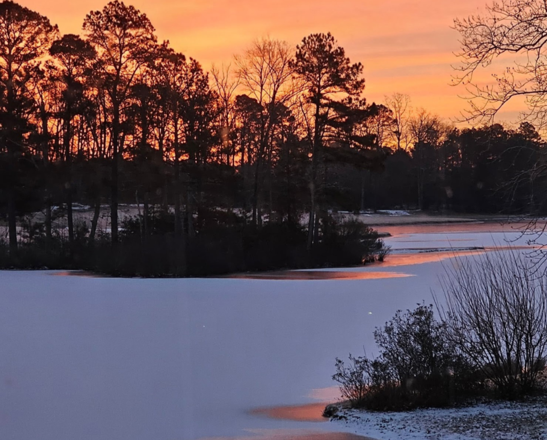 February Photograph by Kendra Weindling