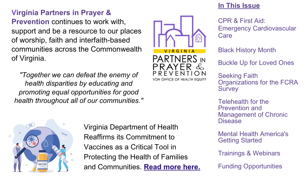 VAP3 Newsletter Feb 2026