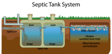 septic system