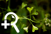 3RNET Image