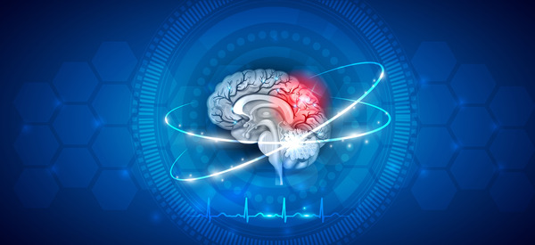 Conceptual art featuring a human brain