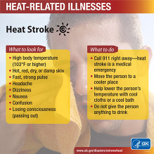 Heat stroke symptoms and response