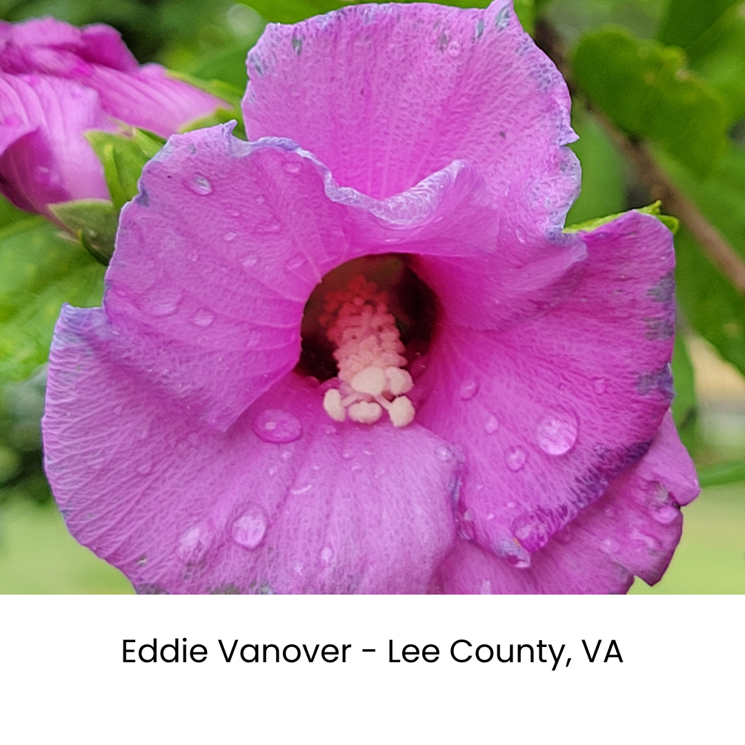 July Photograph by Eddie Vanover