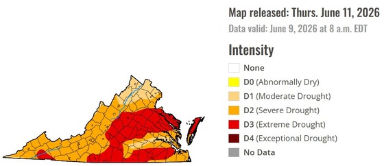 National Drought Report map for Virginia as of June 11, 2026
