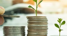 Image of stacked coins and saplings