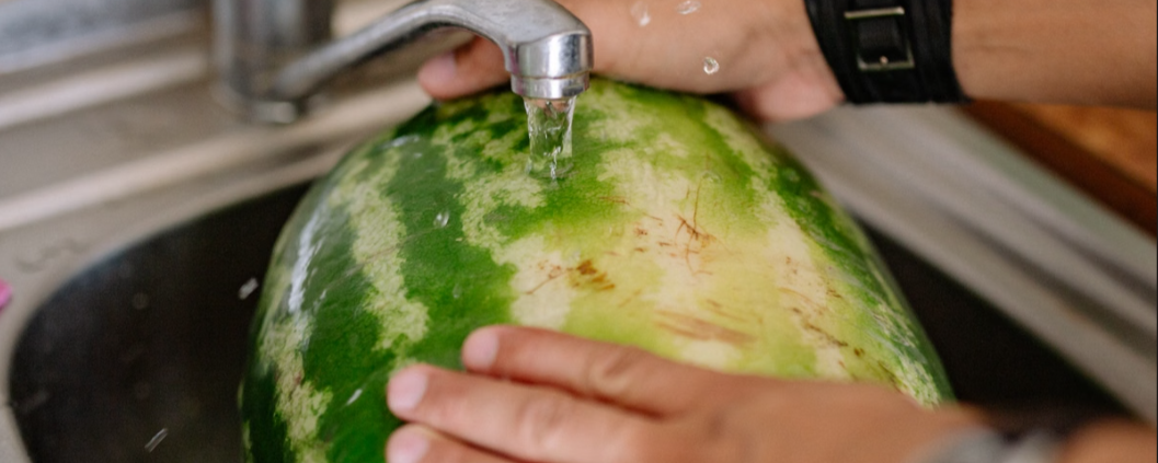 melon