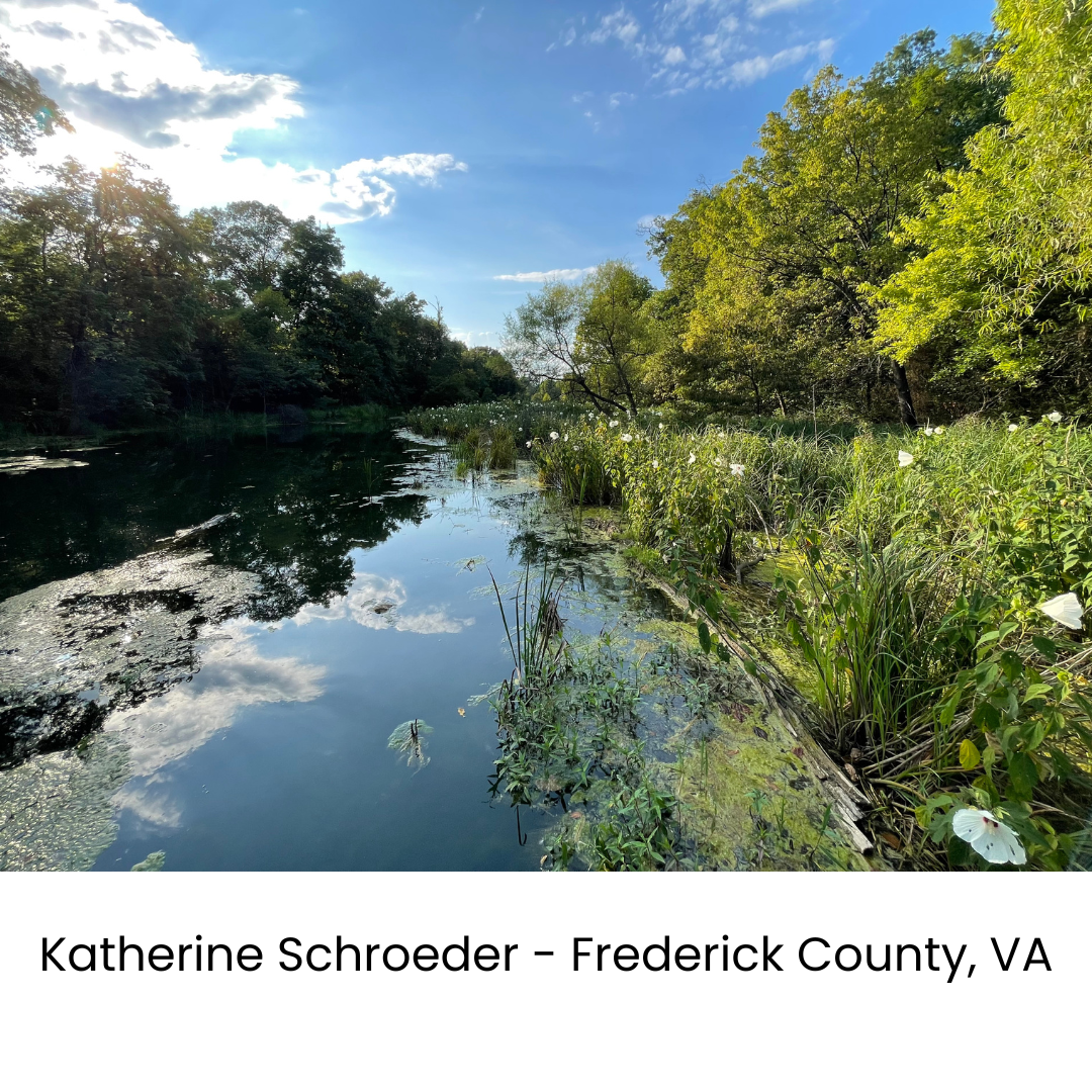 Photo by Katherine Schroeder- Frederick County