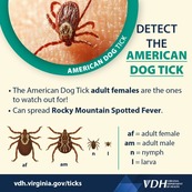 Detect the American Dog Tick