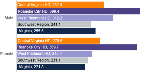 Graph: Males and Females in Roanoke City HD have the highest stroke hospitalization rates in 2024.