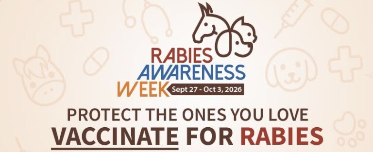 Rabies Awareness