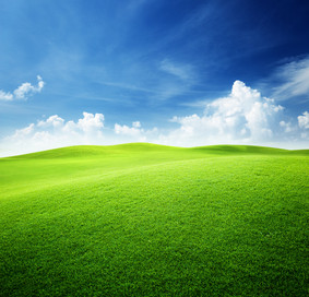 Green Field - Blue Sky