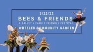 Bees and Friends