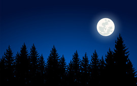 Moon and Trees