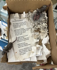 Mouse Nest Poetry
