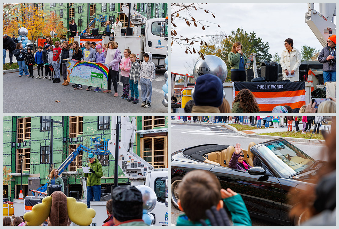 Dattilio Drive collage 1 revised