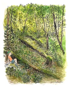 Julianna Brazill sample work