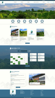 New South Burlington website preview-full image