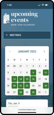 New city website mobile preview