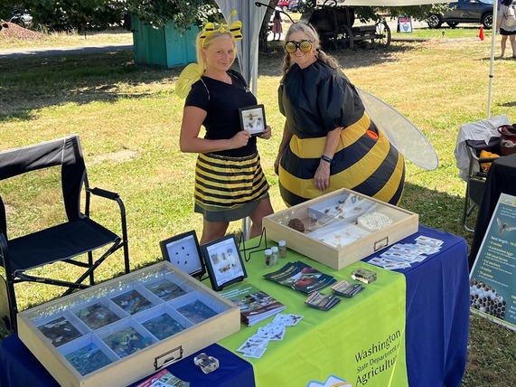 People dressed up like bees staffing a booth at WASBA pollinator fun fest