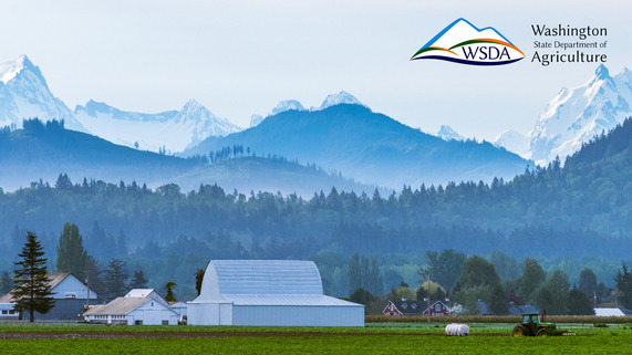 White barns in foreground, snow-capped mountains in background.