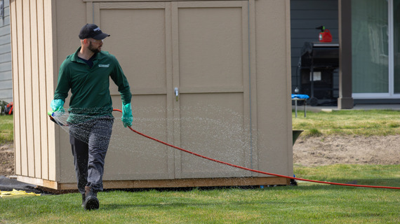 A licensed contractor treating a residents lawn for Japanese beetle.