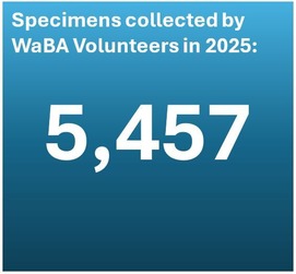 5.13 WA collection count: 5457