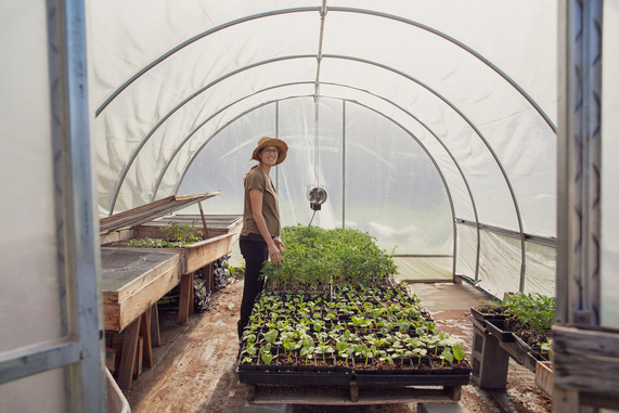 Woman farmer with plant starts 