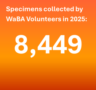 Specimens collected by WaBA Volunteers in 2025: 8449