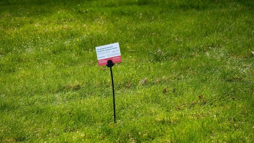 Japanese beetle treatment marker in lawn
