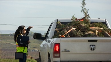 residents dropping off yard waste at drop-off site