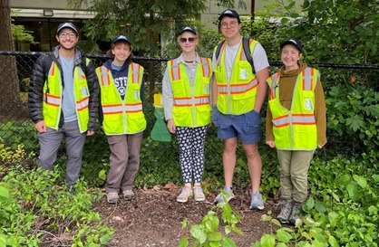 WSDA Japanese beetle trappers standing by trap