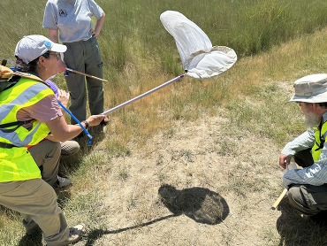 Karen and Will at nesting aggregation