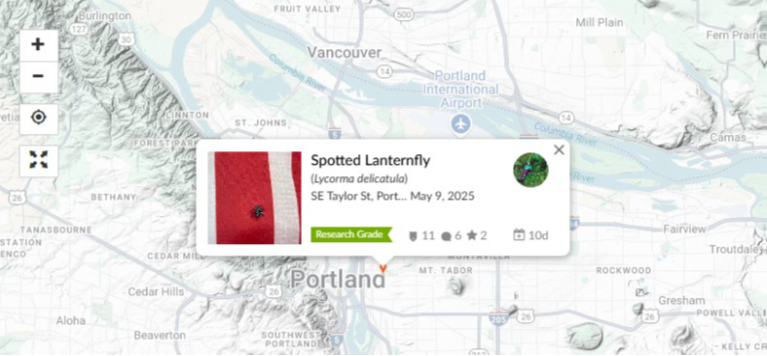 spotted lanternfly report from iNaturalist on a map
