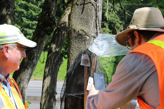 trapper using phone to mark a circle traps location by taking a picture of it