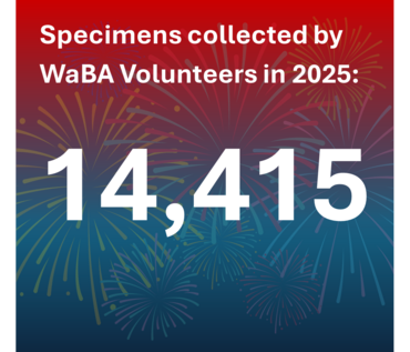 Specimens collected by WaBA Volunteers in 2025: 14,415