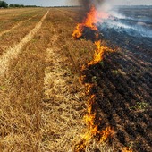 farmland fire