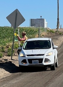 Trapper hanging a Japanese beetle trap on a sign