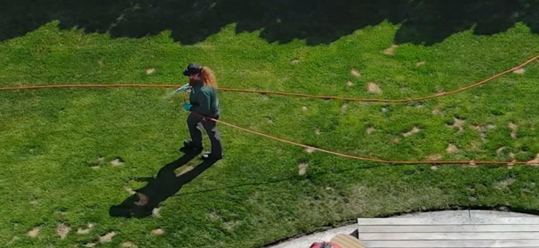 Japanese beetle lawn treatment