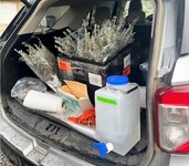 vehicle full of plants for spotted lanternfly research