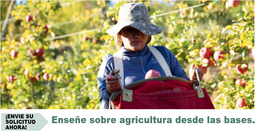 apple picker 