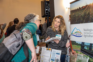Regional Markets staff tabling at an event 