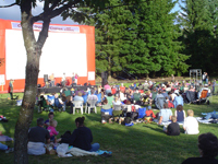 Summer Sounds & Cinema