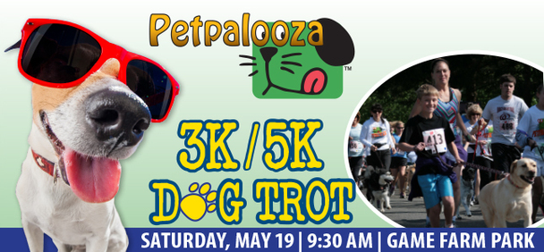 Dog Trot 2018